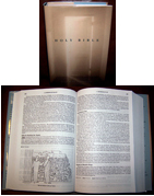 Primary Student Bible