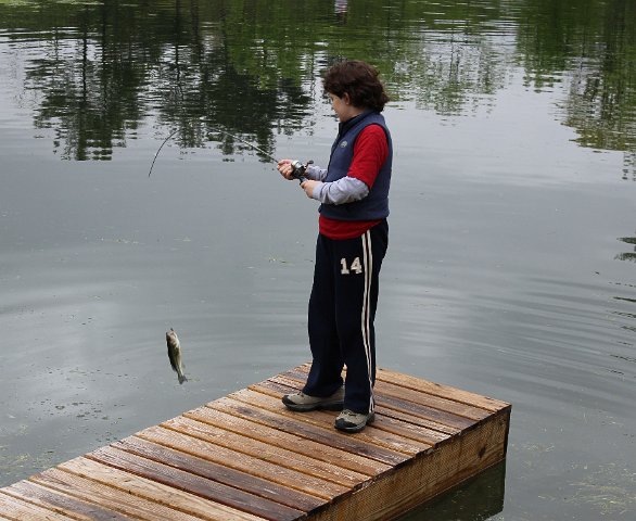 Catching a fish