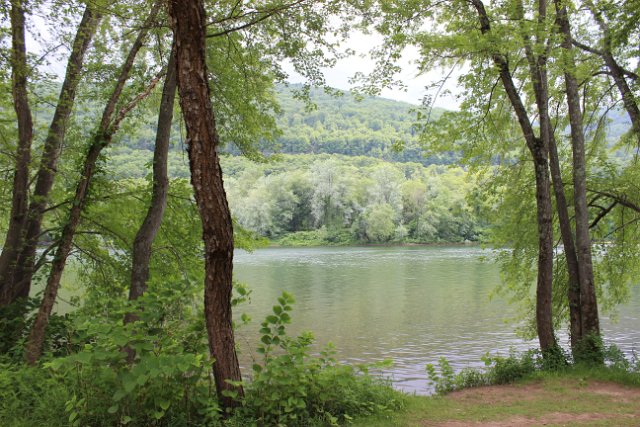 picnic52