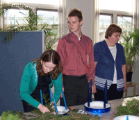 Advent Wreath Building