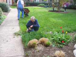 Church Yard Work Day April 2009 