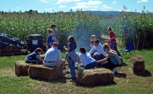 At the maze