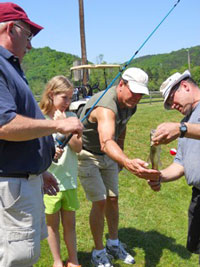 Assessing the catch