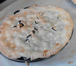 Blueberry pie